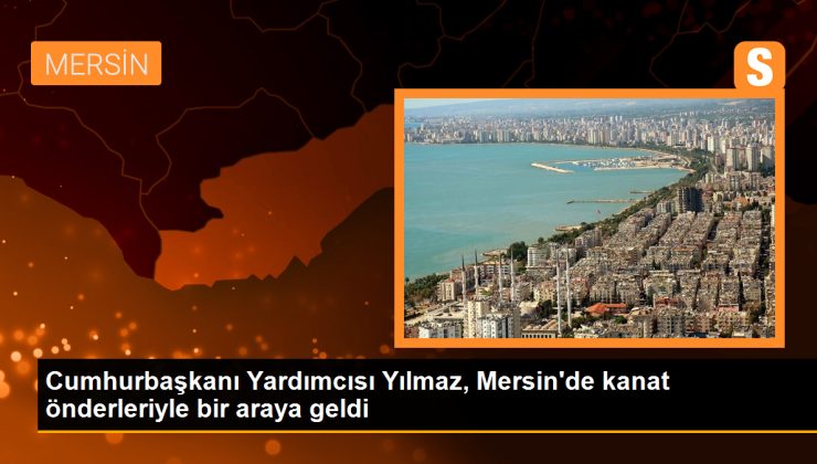 Cumhurbaşkanı Yardımcısı Cevdet Yılmaz: Muhalefetin Şu Anki Halini Görüyorsunuz