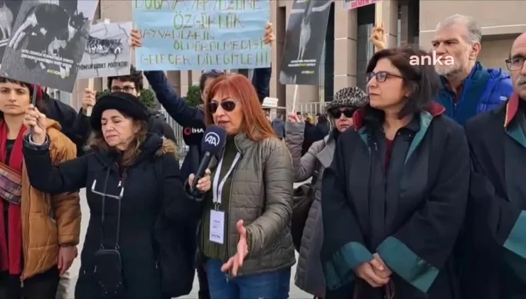 İstanbul’da kedilere kezzap ve asit döken sanığa 7 yıla kadar hapis cezası talep edildi